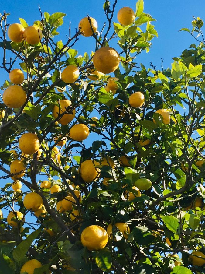 Finca Bona Nit Javea Luaran gambar