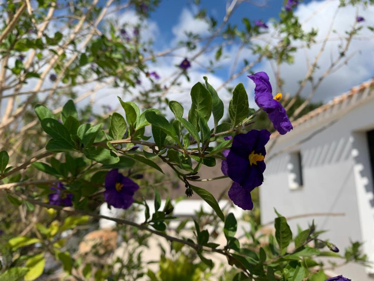 Finca Bona Nit Javea Luaran gambar